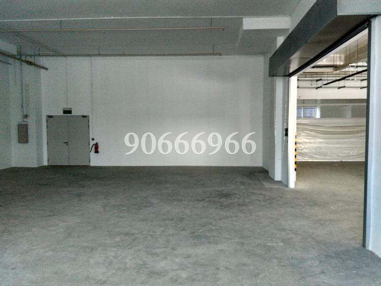 MAPEX (D20), Factory #126688612